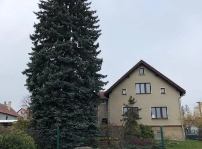 Nr.1 * Варнсдорф